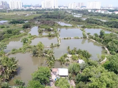 TP.HCM loại 33 khu đất gần 490 ha khỏi danh mục thí điểm nhà ở thương mại