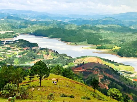 Tỉnh Lâm Đồng yêu cầu Tập đoàn TH đẩy nhanh hồ sơ khu du lịch Đankia – Suối Vàng