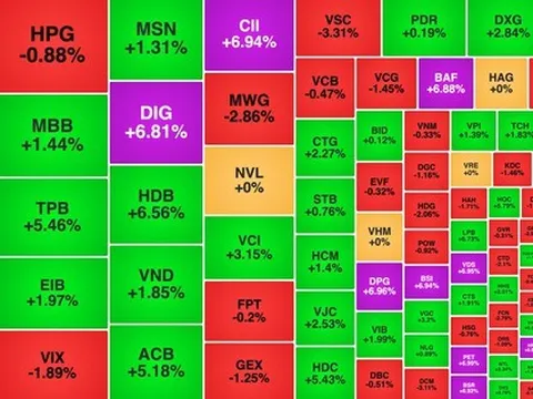 Chứng khoán 19/8 bùng nổ: VN-Index vượt thẳng 1.650 điểm, lập đỉnh mới!