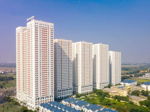 Thăng Long phát hành 7.630 trái phiếu, huy động 763 tỷ đồng chỉ trong một đợt