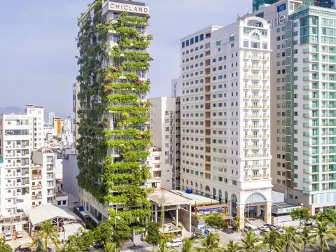 Khách sạn ChicLand Danang Beach Hotel bị phạt gần 600 triệu vì xả thải & vi phạm ATTP