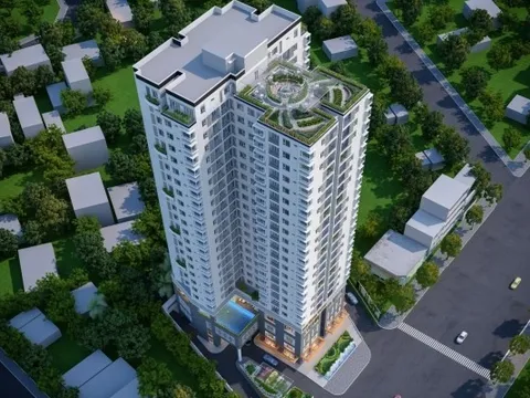 Thanh tra “tuýt còi” Địa ốc 11: Bị phạt vì chậm công bố báo cáo và vi phạm cơ cấu HĐQT độc lập