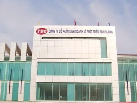 Becamex TDC: Sau khủng hoảng tài chính, liệu tham vọng lên tập đoàn có khả thi?