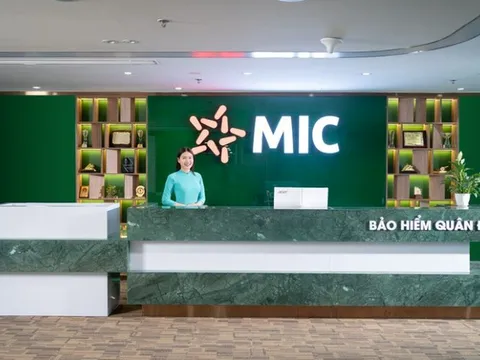 Trước thềm ĐHĐCĐ MIC chia tay chủ tịch và 4 lãnh đạo cấp cao, liệu có biến động gì đây?