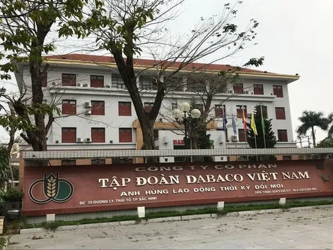 Phạt nặng Dabaco vì báo cáo thiếu minh bạch: Từ lãi vay, góp vốn đến điều chuyển tài sản
