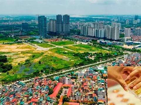 Nên mua vàng hay bất động sản lúc này? Chuyên gia gợi ý cách chia tiền để vừa an toàn vừa có cơ hội sinh lời