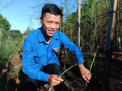 Chàng trai Mường “gây sốt” với mô hình nông nghiệp kết hợp du lịch tại cổng trời Vĩnh Sơn