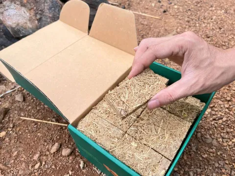 Biến rơm rạ thành “vàng”: Startup Việt bán mồi lửa giá gấp 1.000 lần