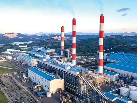 Đại án môi trường: 74 bị can, lộ mạng lưới “bẻ cong” dữ liệu trên toàn quốc