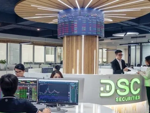 Chứng khoán DSC bị HoSE “tuýt còi” vì chậm công bố thông tin – Trong khi cổ đông lớn mới bất ngờ xuất hiện
