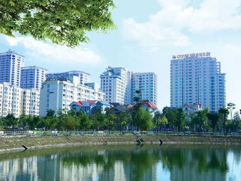 Lideco (NTL) báo lãi thấp kỷ lục, dòng tiền âm nặng nhưng thu nhập lãnh đạo vẫn tăng mạnh