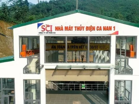 Cổ phiếu rơi mạnh, người nhà Chủ tịch S99 tranh thủ “gom hàng”