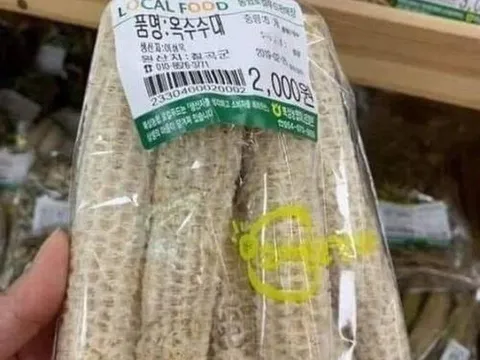 Thứ "cùi bắp" bị vứt ngoài ruộng, vào siêu thị Hàn giá hơn 100.000 đồng/kg