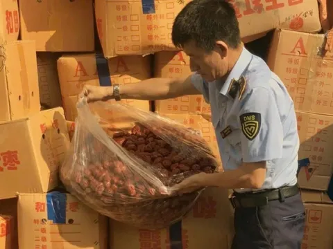 Hơn 4 tấn táo đỏ nhập lậu bị bắt giữ ở Hà Nội - Cẩn trọng với táo đỏ giá rẻ