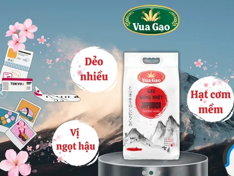 "Vua gạo" hóa "vua phốt"? King Green bị cấm thầu 3 năm vì cung cấp gạo kém chất lượng!