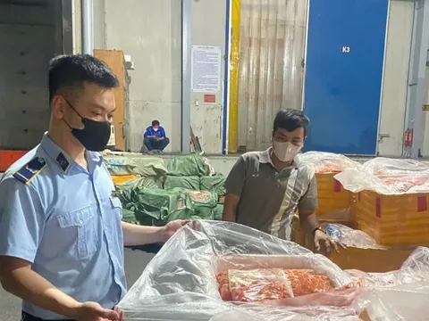 Phát hiện kho đông lạnh chứa hơn 7 tấn nội tạng không rõ nguồn gốc ở Hà Nội