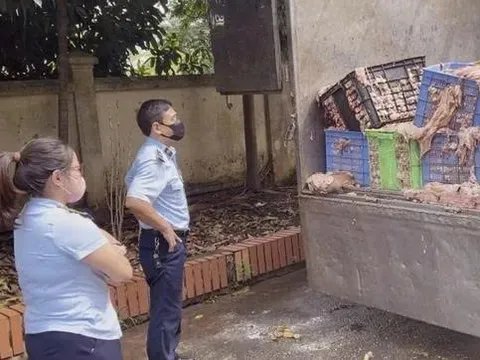 Hơn 2 tấn mỡ và da bò thối suýt tuồn vào bàn ăn người dân