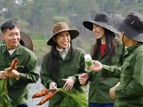 Bộ Công an công bố 13 loại thực phẩm bổ sung là giả, người tiêu dùng cần kiểm tra ngay