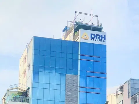 DRH Holdings lộ diện loạt chủ nợ lớn: Chứng khoán Rồng Việt, Maybank, VNDirect "đòi tiền"!