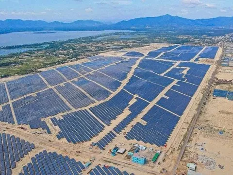 Bamboo Capital “thay máu” nhân sự, hướng tới tái cấu trúc toàn hệ sinh thái
