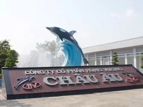 Hùng Vương bị phạt vì “quên” công bố thông tin tài chính trong 3 năm liền, cổ phiếu “mất thanh khoản” – chuyện gì đang xảy ra với “vua cá tra”?