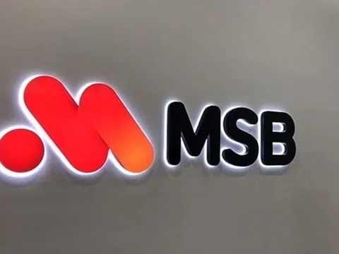 MSB dính hàng loạt "phốt" từ thanh tra: Quản trị cổ phần, tín dụng và nợ xấu đều có vấn đề!