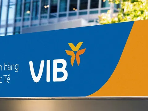 Nợ xấu tại VIB tăng mạnh –  Nợ có khả năng mất vốn chiếm hơn nửa nợ xấu