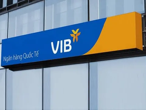 VIB đã phát hành 9.300 tỷ đồng trái phiếu trong tháng 8, tiếp tục lên kế hoạch huy động 4.000 tỷ để tăng vốn cấp 2