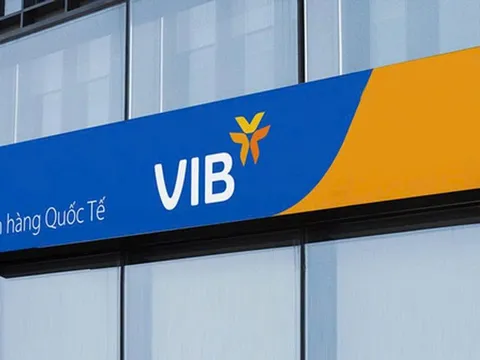 Thanh tra VIB chi nhánh vinh: phát hiện tồn tại trong thẩm định, xét duyệt cho vay, hồ sơ tín dụng thiếu chứng từ