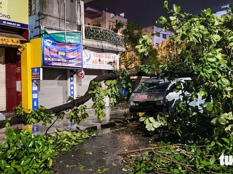 Doanh nghiệp bảo hiểm nhanh chóng tạm ứng bồi thường hàng trăm tỷ đồng sau bão Yagi