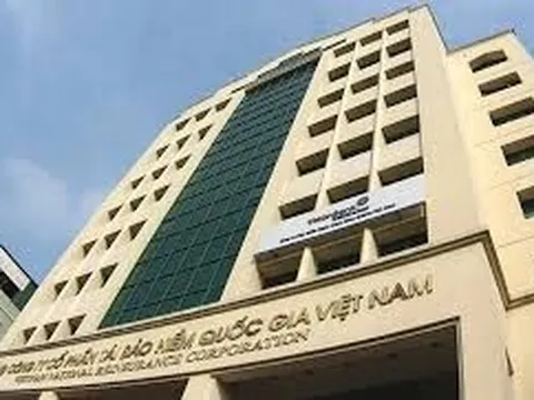 Vinare (VNR) tụt dốc quý 1/2025: Lãi ròng chỉ bằng một nửa năm ngoái!