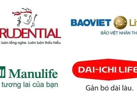 Prudential, Manulife, AIA… tung nghìn tỷ vào chứng khoán: Cú cược nghìn tỷ giữa sóng thị trường