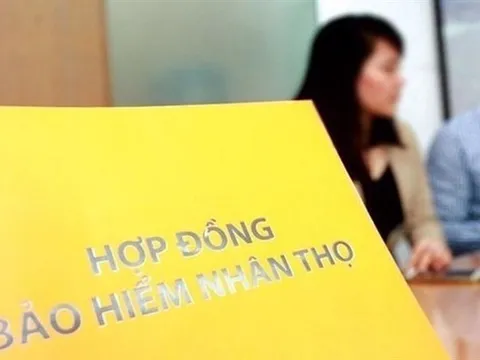 “Thu nhập trọn đời” từ bảo hiểm nhân thọ: Luật sư cảnh báo đừng tin nếu không có pháp lý đi kèm