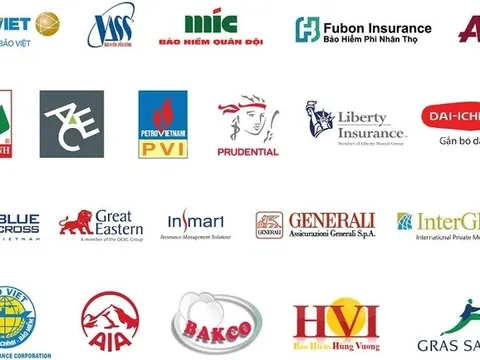 Ngành bảo hiểm nhân thọ tái cấu trúc toàn diện: Ngành bảo hiểm nhân thọ tái cấu trúc toàn diện