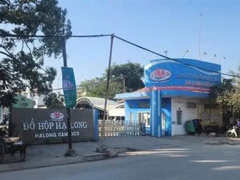 Vụ “giấy kiểm dịch khống” ở Hải Phòng: Cán bộ ra đầu thú, thừa nhận nhận hối lộ 70 triệu