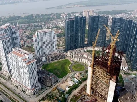 Mỹ Khánh báo lỗ hơn 317 tỷ đồng, vốn chủ sở hữu âm 81 tỷ – Chuyện gì đang xảy ra?