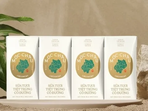 Thành viên “nhà” Vinamilk bứt tốc: Mộc Châu Milk lãi tăng gần 68% ngay quý đầu năm