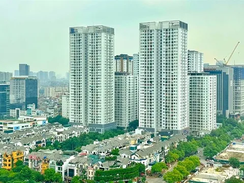 HoREA: Cách tính giá đất hiện nay đang đẩy giá nhà lên trời vì hệ số điều chỉnh!