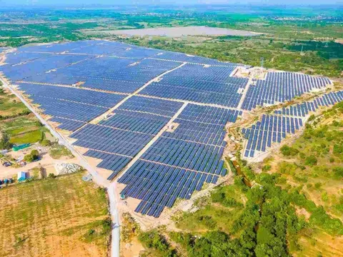 Hai “ông lớn” mua bán nợ âm thầm thâu tóm gần 12 triệu cổ phiếu BGE trước giờ bị hạn chế giao dịch