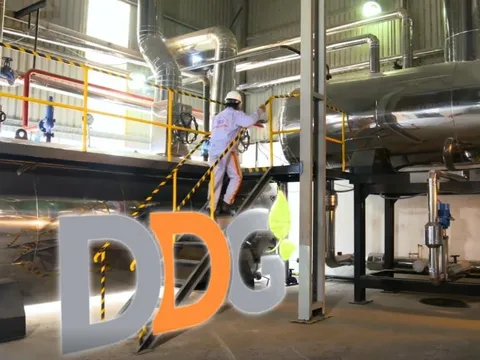 Trường Thành (TEG) và Đông Dương (DDG) dính án phạt hơn 600 triệu vì công bố sai thông tin
