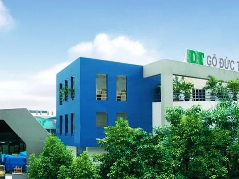 Gỗ Đức Thành bị phạt hơn 200 triệu đồng vì vi phạm chứng khoán