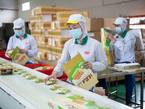 Tập đoàn Indonesia “thâu tóm” Bibica — thương hiệu bánh kẹo Việt 32 năm tuổi rời sàn sau 24 năm