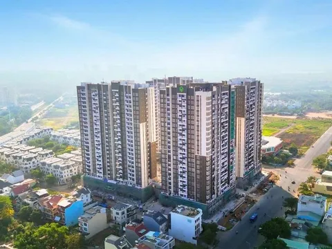 Novaland quay xe ngoạn mục: Mỗi ngày bỏ túi gần 10 tỷ, thoát cảnh thua lỗ