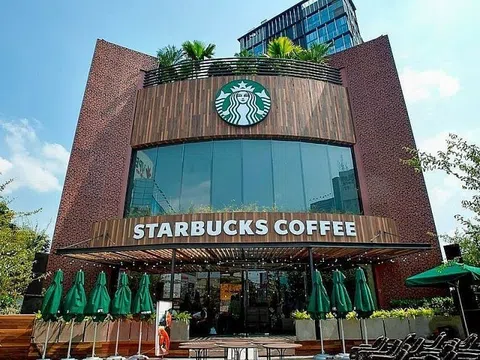 Khám phá người đứng sau thành công của Starbucks Việt Nam: Hồ Mai Hồ và hành trình hơn 10 năm