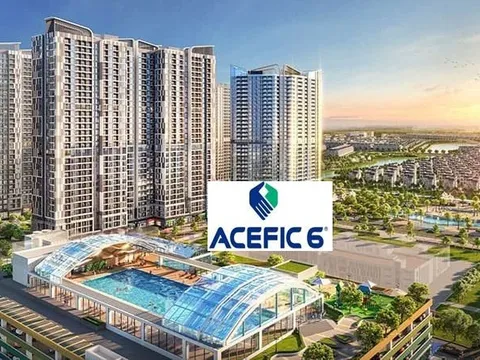 Đòn bẩy tài chính cực đoan: ACE 6 Việt Nam “gánh nợ” gấp 18 lần vốn chủ
