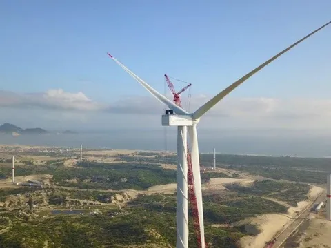 Halcom Việt Nam lên kế hoạch vừa xử lý lỗ lũy kế, vừa gỡ ý kiến ngoại trừ kiểm toán trong năm 2026