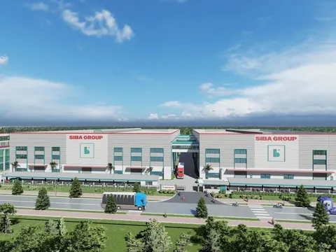 SIBA Group: Nợ vượt 1.000 tỷ, tiền mặt chưa tới 25 tỷ, lên kế hoạch huy động thêm 200 tỷ đồng