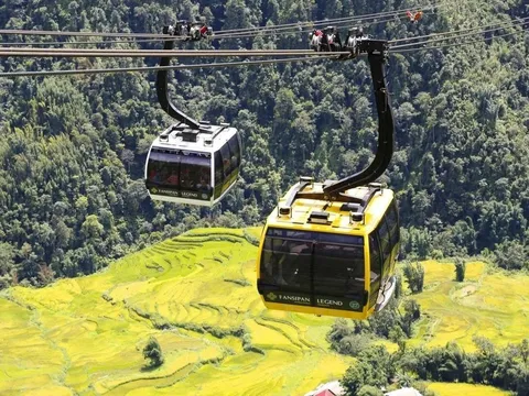 Cáp treo Fansipan: Năm 2023 lãi 317 tỷ, năm 2024 tụt xuống còn 13 tỷ, lỗ lũy kế vẫn ngất ngưởng hơn 222 tỷ – chuyện gì đang xảy ra?