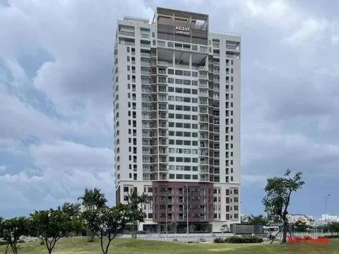 Chủ đầu tư Ascent Lakeside bị cưỡng chế thuế vì nợ gần 18 tỷ đồng!