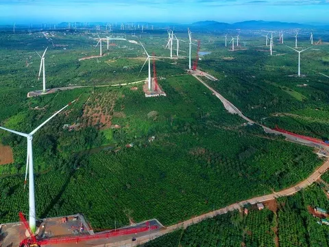 Một thành viên Trung Nam Group bị phạt vì “quên” công bố thông tin trái phiếu